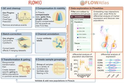 FlowAtlas: an interactive tool for high-dimensional immunophenotyping analysis bridging FlowJo with computational tools in Julia